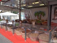 2019-10-13 Manziana 141